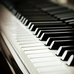 看同性恋撸管射精的免费视频
