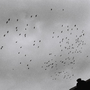 看同性恋撸管射精的免费视频
