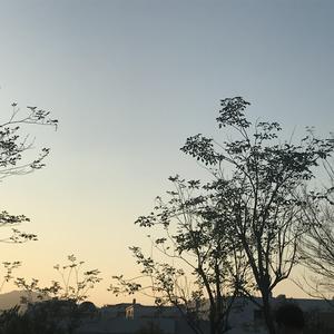 看同性恋撸管射精的免费视频
