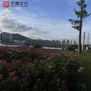 看同性恋撸管射精的免费视频
